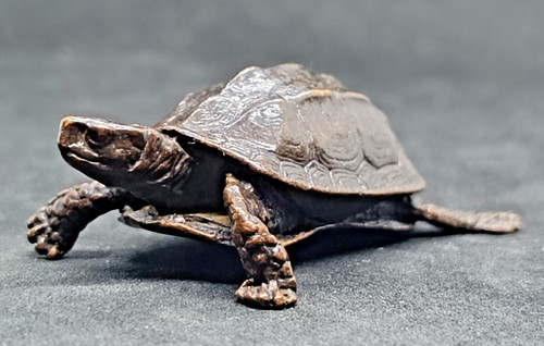 Antike skulptur schildkröte - antike,