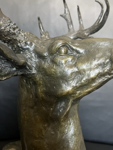 Alte bronze büste hirsch - alte,