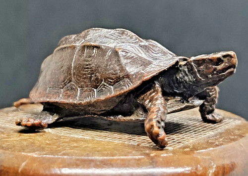 Antike skulptur schildkröte - antike,